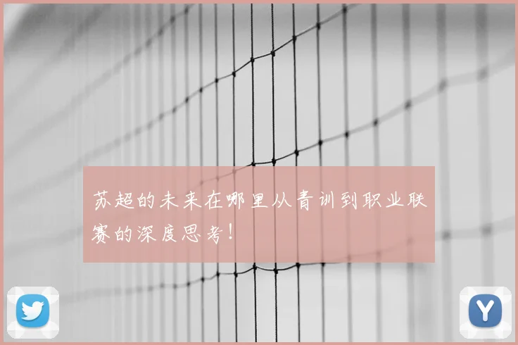 苏超的未来在哪里从青训到职业联赛的深度思考！