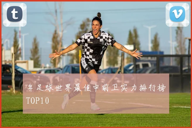 年足球世界最佳中前卫实力排行榜TOP10