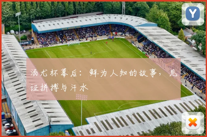 汤尤杯幕后:鲜为人知的故事,见证拼搏与汗水