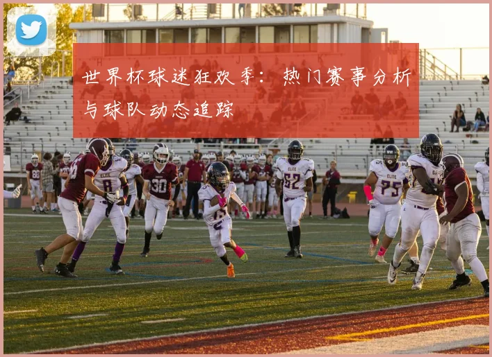 世界杯球迷狂欢季:热门赛事分析与球队动态追踪
