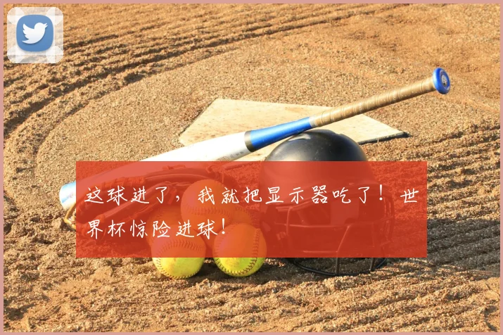 这球进了,我就把显示器吃了!世界杯惊险进球!